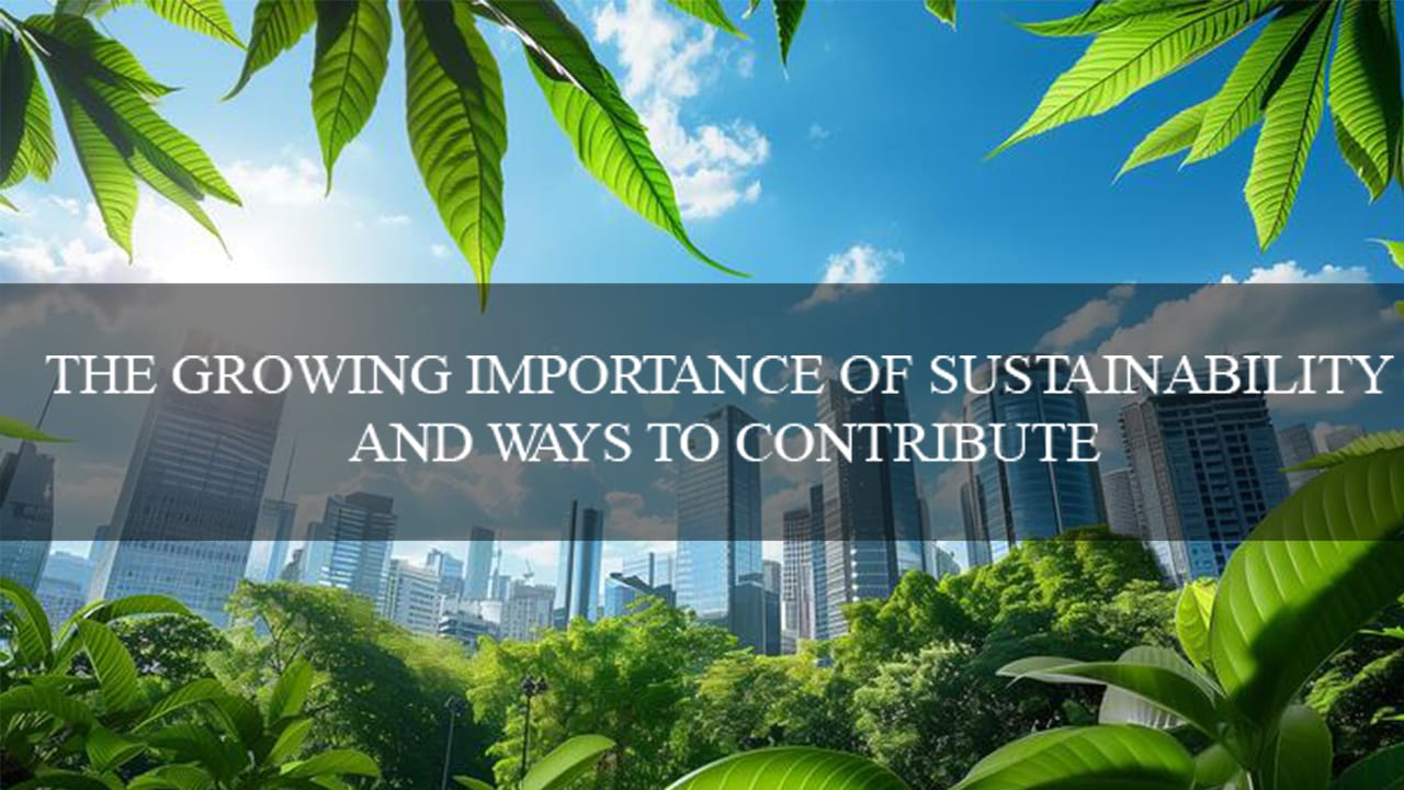 THE GROWING IMPORTANCE OF SUSTAINABILITY AND WAYS TO CONTRIBUTE